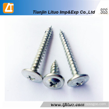 Electro Galvanized Wafer Truss Head Self Tapping Screw